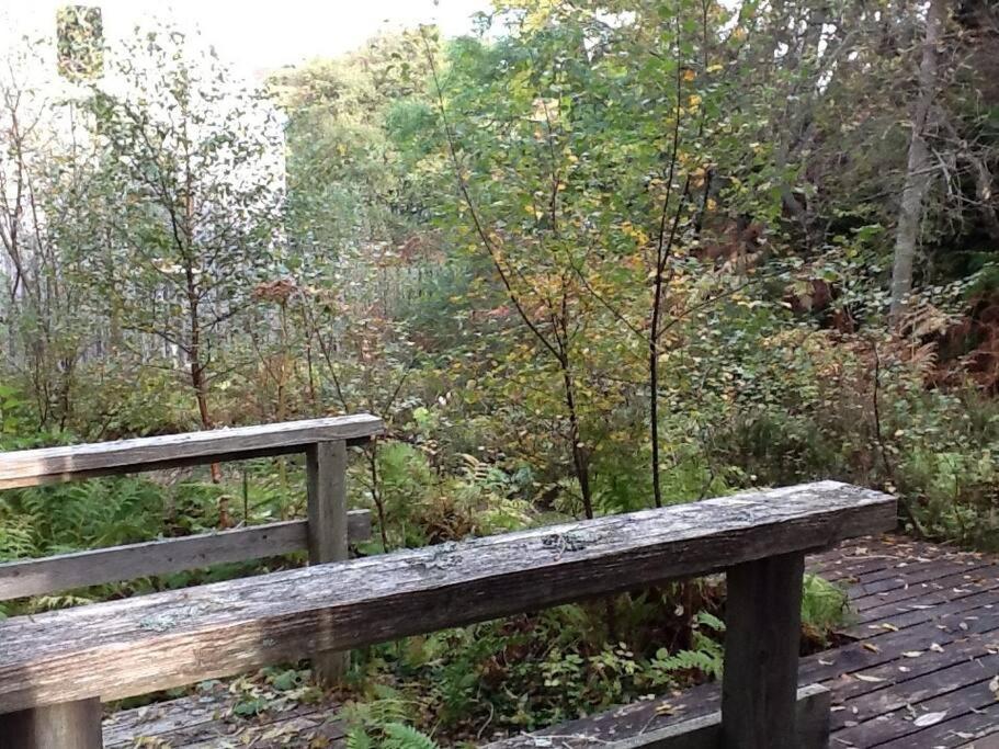 Blar Na Leisg, Self Catering Lodge 2. Drumbeg Eksteriør billede