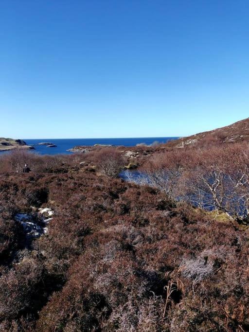 Blar Na Leisg, Self Catering Lodge 2. Drumbeg Eksteriør billede